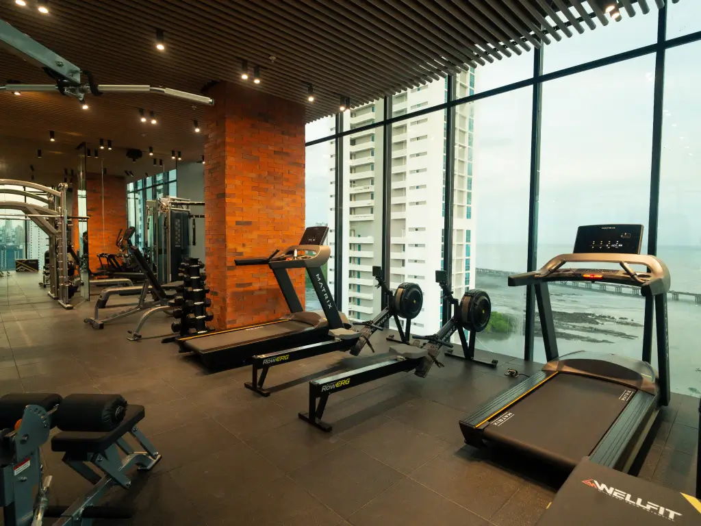 Gimnasio